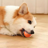 【LAST DAY SALE】IntelliFetch™ - Pet Playing Smart Ball
