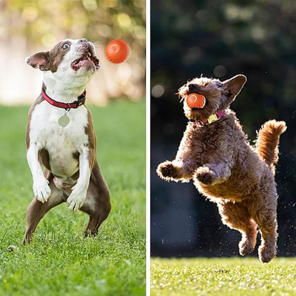 【LAST DAY SALE】IntelliFetch™ - Pet Playing Smart Ball