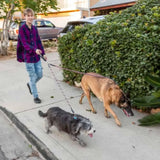 New Tangle-Free Double Leash - 1st Step Training Tool