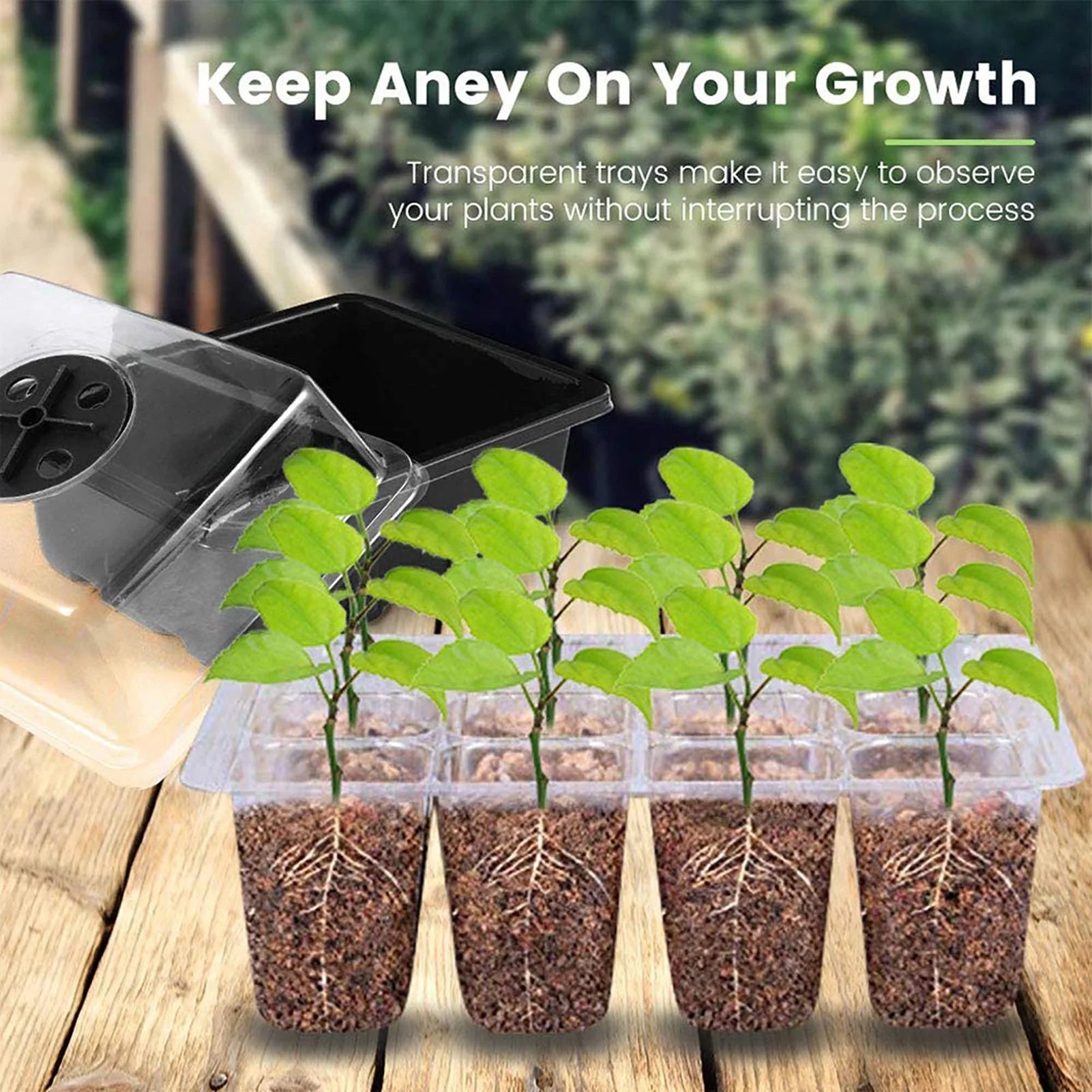 【LAST DAY SALE】SeedNest™ - Plant Seeding LED Light Tray