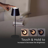 【LAST DAY SALE】Potlight™ - Decorative Flowerpot Design Table Lamp