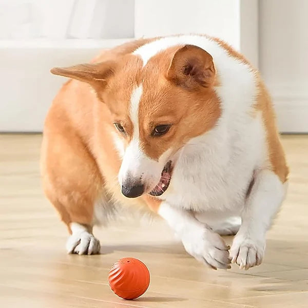 【LAST DAY SALE】IntelliFetch™ - Pet Playing Smart Ball