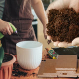 【LAST DAY SALE】CocoBrick™ - Organic Coconut Coir For Plants