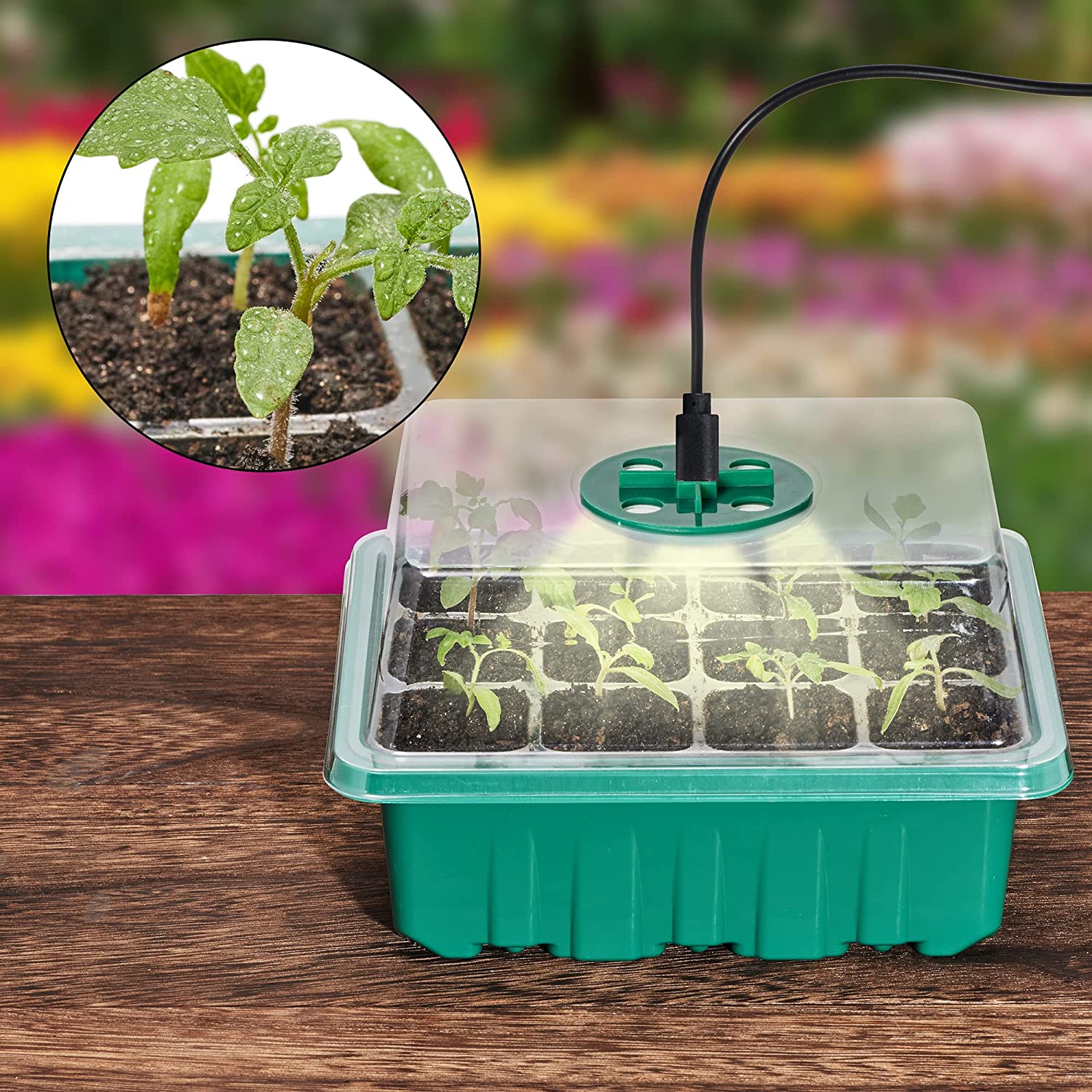 【LAST DAY SALE】SeedNest™ - Plant Seeding LED Light Tray