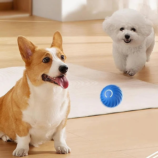 【LAST DAY SALE】IntelliFetch™ - Pet Playing Smart Ball