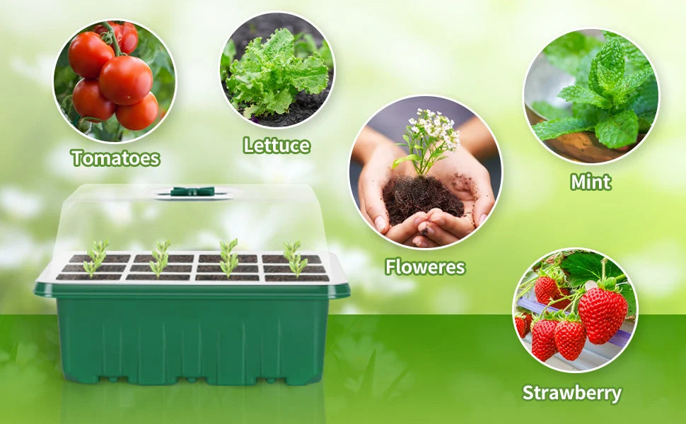 【LAST DAY SALE】SeedNest™ - Plant Seeding LED Light Tray