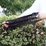 【LAST DAY SALE】Car Storage Net